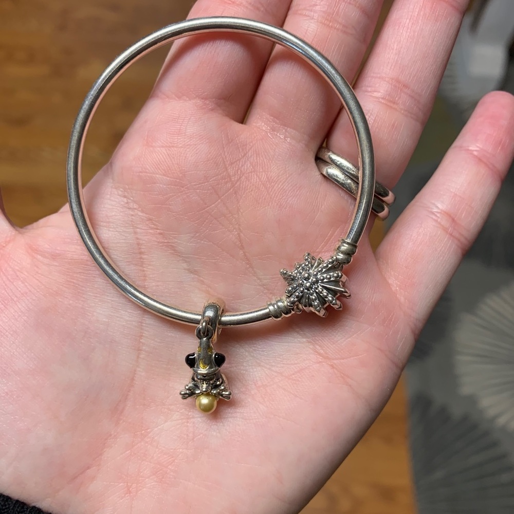 Disney Pandora Charm with Bracelet